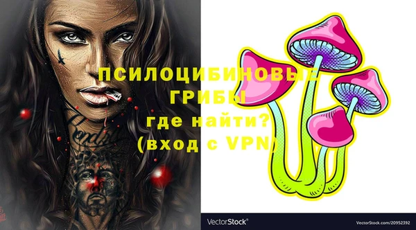крисы Вяземский