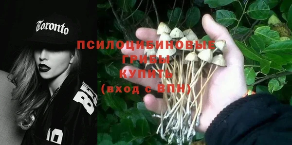 а пвп мука Вязьма