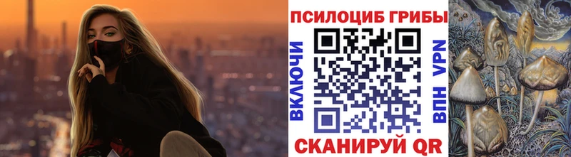 Псилоцибиновые грибы мухоморы  kraken ссылки  Новошахтинск 