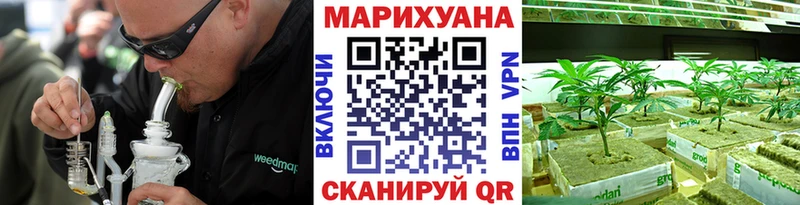 Каннабис OG Kush Новошахтинск